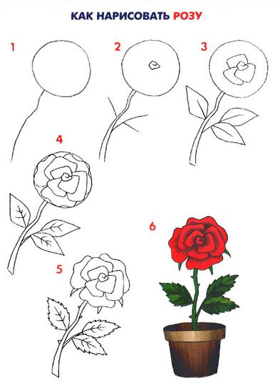 Как нарисовать розу карандашом поэтапно