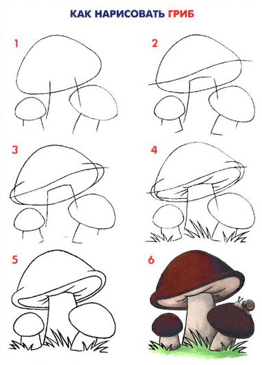 Как нарисовать белый гриб